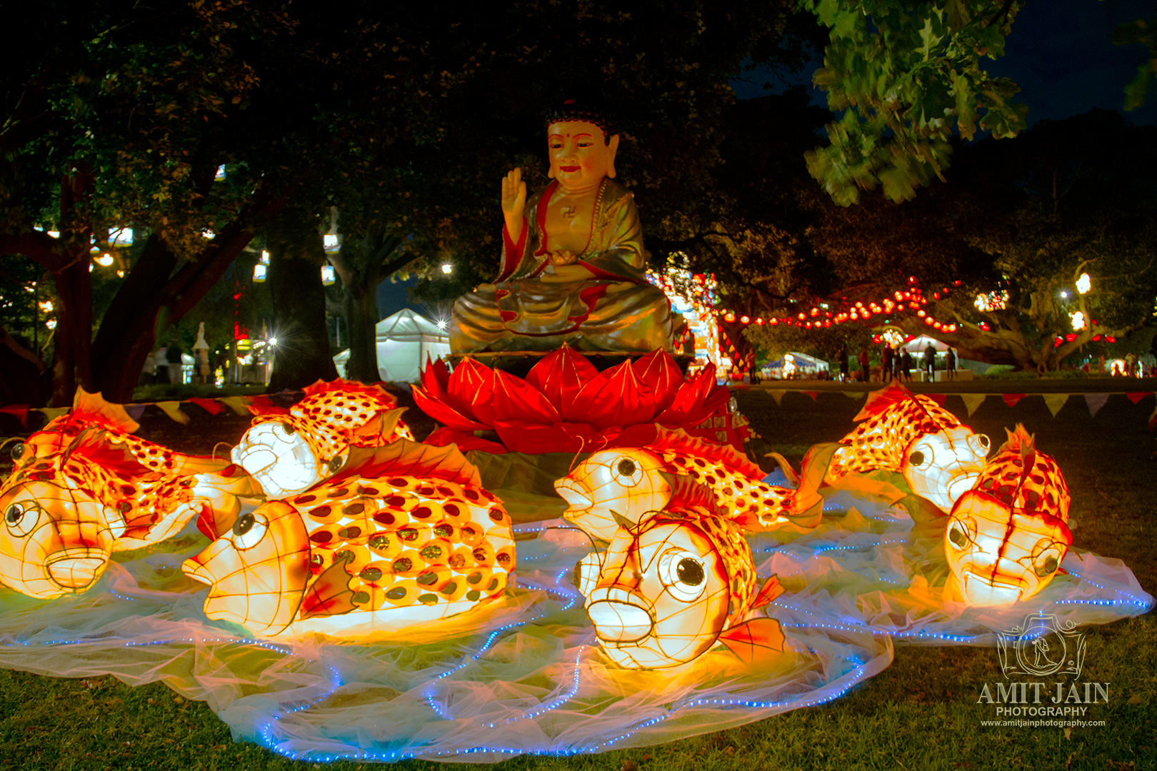 Lantern Festival 2014 Auckland Albert Park PhotographerAmit Jain